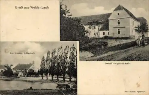 Ak Weidenbach in Mittelfranken, Domine Weldenbach, Gasthof zum grünen Schild