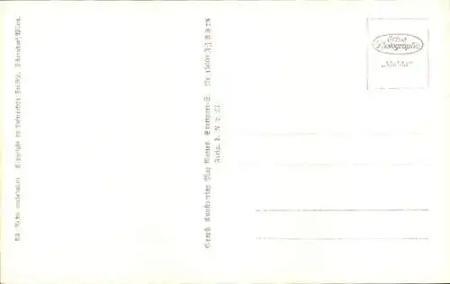 Ak Immenstaad am Bodensee, Fliegeraufnahme