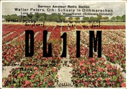 Ak Schülp in Dithmarschen, German Amateur Radio Station Walter Peters, DL1IM