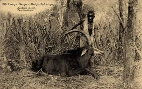 Ganzsachen Ak Belgisch Kongo Demokratische Republik Kongo Zaire, Pferdeantilope