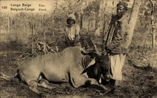 Ganzsachen Ak Belgisch Kongo Demokratische Republik Kongo Zaire, Elenantilope