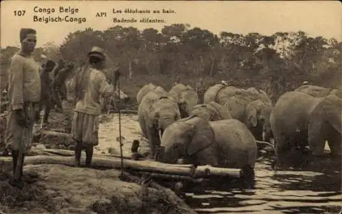 Ganzsachen Ak Belgisch Kongo Demokratische Republik Kongo Zaire, Les elephants au bain