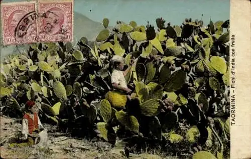 Ak Taormina Sicilia, Fichi d'India con frutto