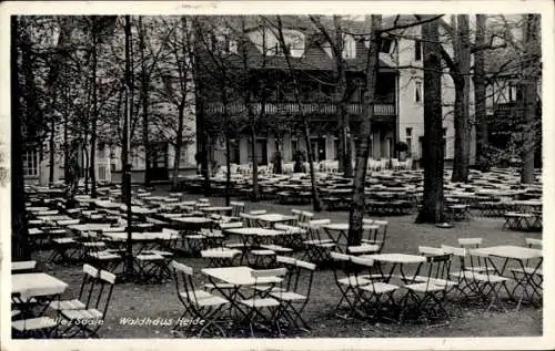 Ak Dölau Halle an der Saale, Waldhaus Heide
