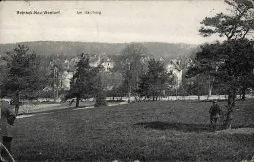 Ak Neu Wentorf bei Hamburg in Schleswig Holstein, Partie am Haidberg