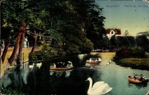 Ak Hamburg Bergedorf, an der Bille, Ruderboote, Schwan