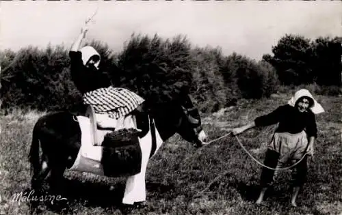 Ak Ile de Ré, Esel mit Hose, Weinlese