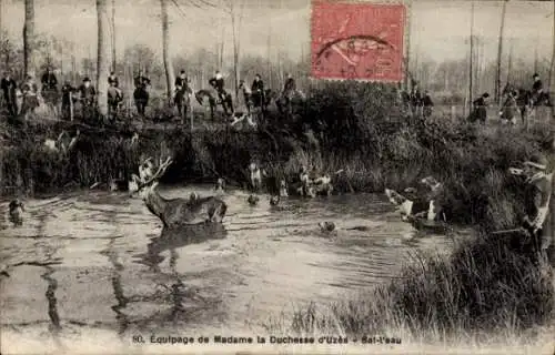 Ak Jagd, Jagdszene, Hirsch im Teich