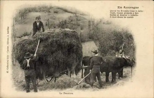 Ak Heuernte in der Auvergne, Rinderfuhrwerk