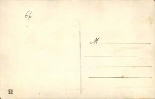 Ak Pyrenäen, Hunde, Welpen