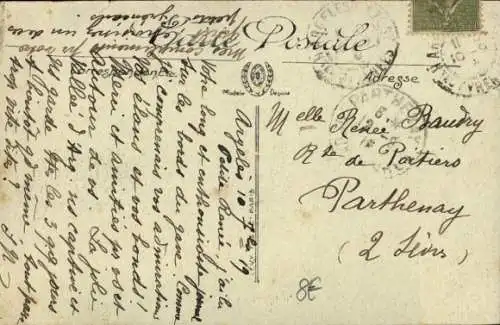 Ak Pyrenäen-Berghunde, drei Welpen