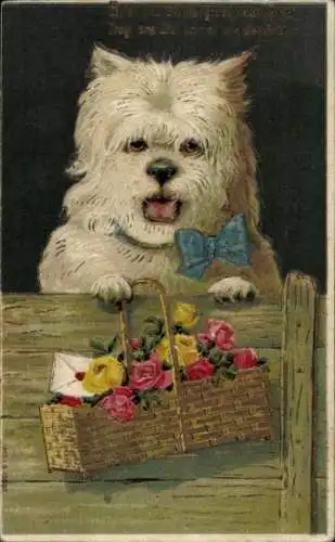 Präge Ak Weißer Hund, Blumenkorb, Rosen