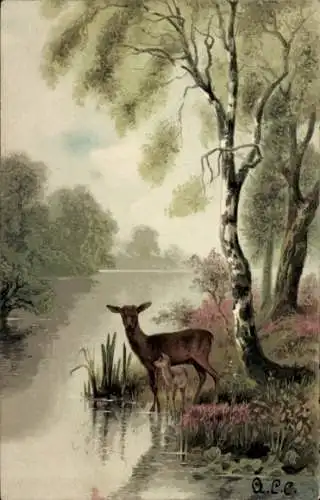 Ak Reh und Jungtier am Fluss, Birke