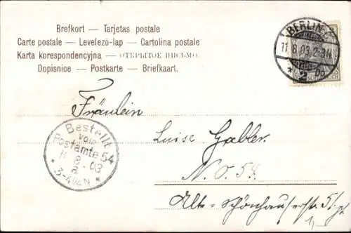 Ak So unendlich heiss zu lieben, Liebespaar, Eisbärenfell