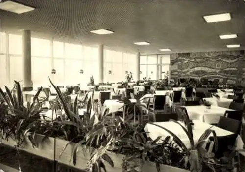 Ak Ostseebad Ahrenshoop Fischland, Heller Restaurantraum mit Pflanzen, große Fenster, Tischdeko