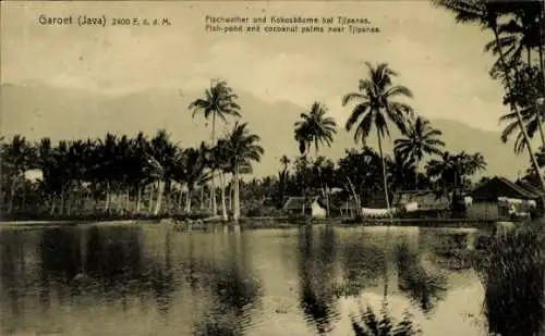 Ak Garoet Garut Java Indonesien, Idyllische Landschaft, Fischteich, Kokospalmen, Tjipanas