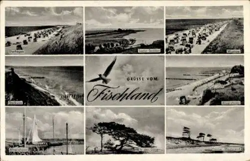 Ak Ostseebad Ahrenshoop Fischland, Strand, Steilküste