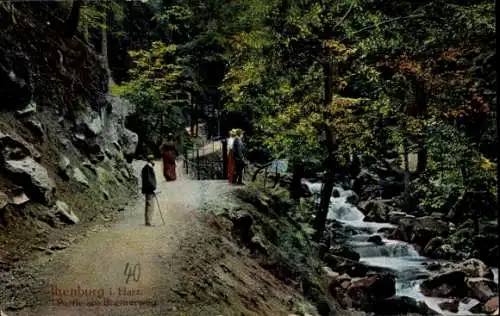 Ak Ilsenburg im Harz, Bremerweg