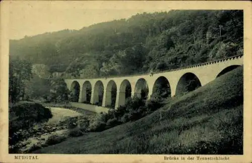Ak Gernsbach im Murgtal Schwarzwald, Brücke in der Tennetschlucht, Landschaft, Fluss, Brücke