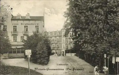 Ak Gremsmühlen Malente in Ostholstein, zum Brahmberg, Lindenallee, Talente- Ost Holstein