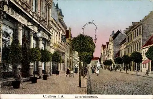 Ak Cöthen Köthen in Anhalt, Weintraubenstraße