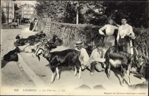 Ak Lourdes Hautes Pyrénées,  Ziegen, zwei Frauen, ein Mann, alte 