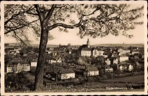 Ak Dippoldiswalde im Erzgebirge, Dippoldiswalde i.Sa., Stadtansicht, Baum im Vordergrund,  Archit