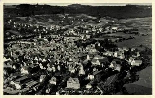 Ak Hersbruck in Mittelfranken, Luftaufnahme von  Häuseransicht, grüne Landschaft