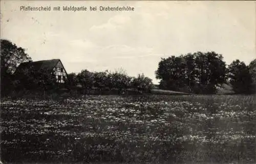 Ak Drabenderhöhe Wiehl im Oberbergischen Kreis, Landschaft mit Wald, Haus im Hintergrund, blühend