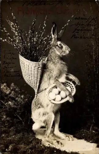 Ak Frohe Ostern, Osterhase mit Weidenkorb voller Ostereier, Weidenkätzchen