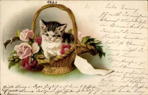 Litho Katze im Korb, Rosen