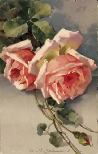 Künstler Ak Catharina Klein, Rosa Rosen, Tautropfen