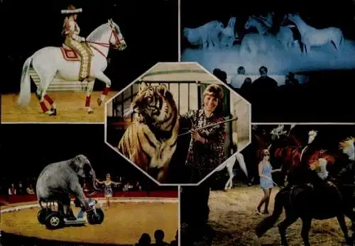 Ak Christel Sembach Krone, Zirkus Krone, Tiger Ussur, Pferdemusical, Elefant