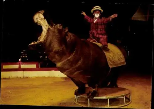 Ak Zirkus Busch-Roland, Nilpferd Juba mit Clown Bimbo