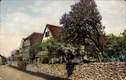 Ak Nenke & Ostermaier Nr. 1272, Frühlingsblüte