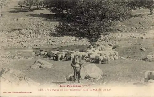 CPA Les Pyrénées, Patre et son troupeau dans la vallee du Lys