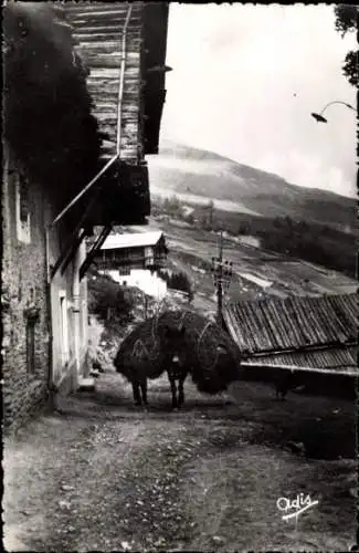 CPA Saint Véran Hautes Alpes, Rentrée des foins