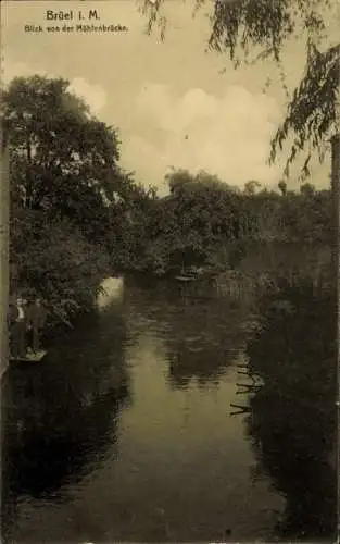 Ak Brüel in Mecklenburg, Brüel i. M., Blick von der Mühlenbrücke, ruhiger Fluss, grüne Bäume