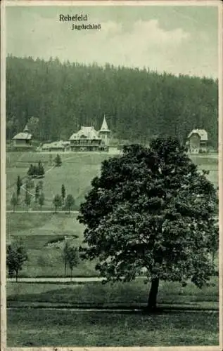 Ak Rehefeld Zaunhaus Altenberg im Erzgebirge,  Jagdschloß, große Wiese, Baum im Vordergrund, Wald