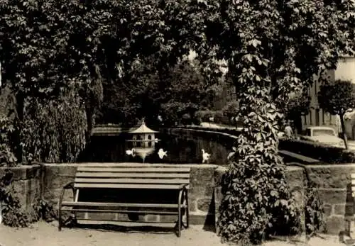 Ak Bischofswerda in Sachsen, Blick auf Mühlteich, Parkbank, Enten, Bäume, ruhige Szenerie