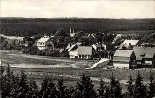 Ak Joachimsthal Kreis Barnim Uckermark, Teilansicht des Ortes, Wald