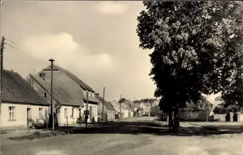 Ak Wolzig Kreis Königswusterhausen, Dorfstraße