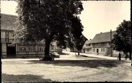 Ak Straßberg Harzgerode am Harz, Lindenhof mit  Baum und Bank im Vordergrund