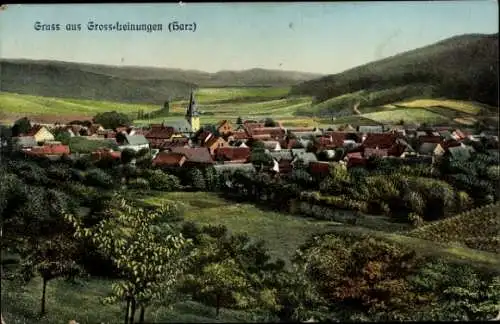 Ak Großleinungen Sangerhausen am Harz, Gesamtansicht