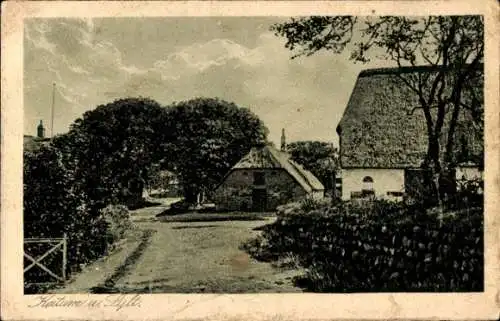 Ak Insel Sylt in Nordfriesland, Historische Landschaft mit Bauernhäusern, Bäumen, und Weg.
