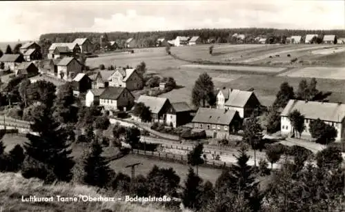 Ak Tanne Oberharz am Brocken, Luftkurort Tanne, Bodetalstraße, Landschaft, Häuser, Wald