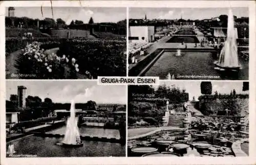 Ak Essen im Ruhrgebiet, Gruga-Park, Danlienarena, Wasserferrassen, Victoria regia, Sommerblumenle