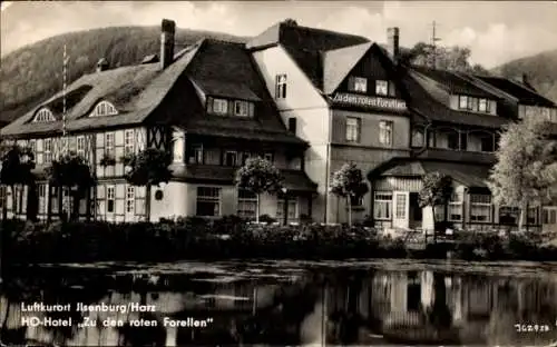 Ak Ilsenburg im Harz, HO-Hotel „Zu den roten Forellen“, Gebäude, Wasser, Landschaft