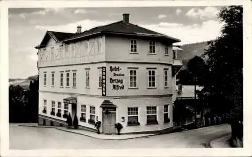 Ak Strzybnica Friedrichshütte Oberschlesien, Hotel-Pension Herzog Alfred, Garagen