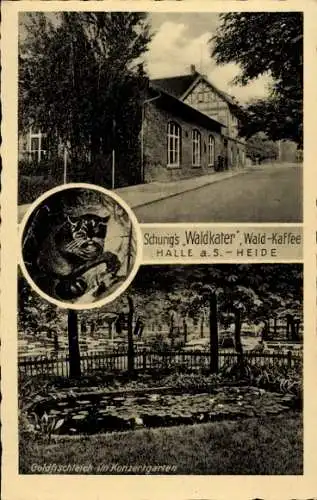 Ak Dölauer Heide Halle an der Saale, Schurig's Waldkater, Wald-Kaffee, Goldfischteich im Konzertg